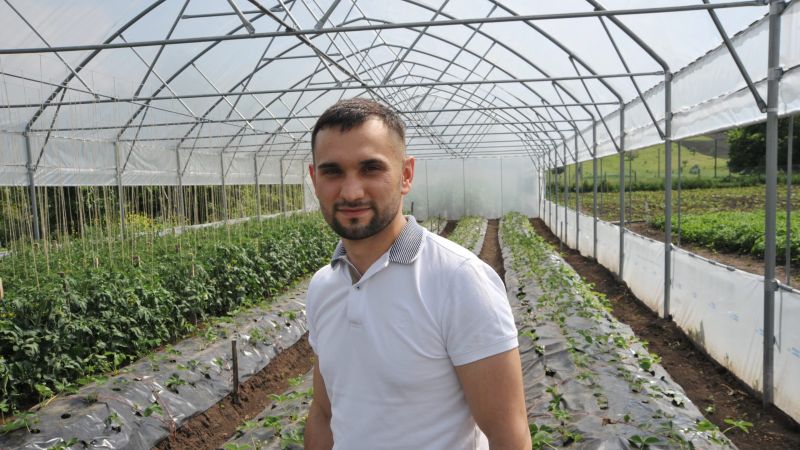 Agricultură pe ecranul smartphone-ului. O mică întreprindere agricolă din Moldova cucerește tehnologiile digitale