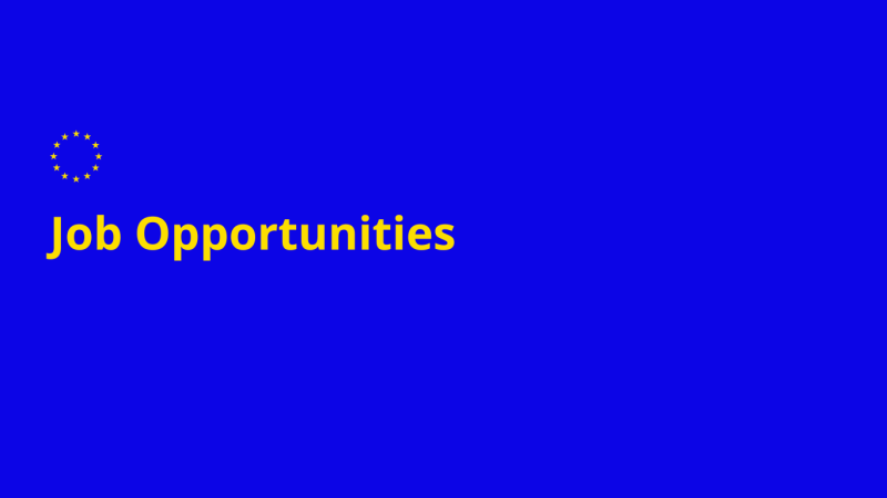 The EU-funded Twinning Project “Strengthening the Capacities of the Moldovan Parliament and its Role in the EU Accession Process” (Twinning Reference MD 21 NDICI OT 01 24 (MD/42)) is seeking to recruit an Assistant to the Resident Twinning Advisor (RTA).