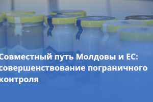 Республика Молдова продолжает путь к европейской интеграции, совершенствуя систему инспекции пищевых продуктов.