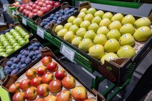 Over 300 Moldovan and foreign representatives of the fruit business sector gather today at the Fruit Business Conference that will held its sessions on 27-28 November 2025 in Chisinau.