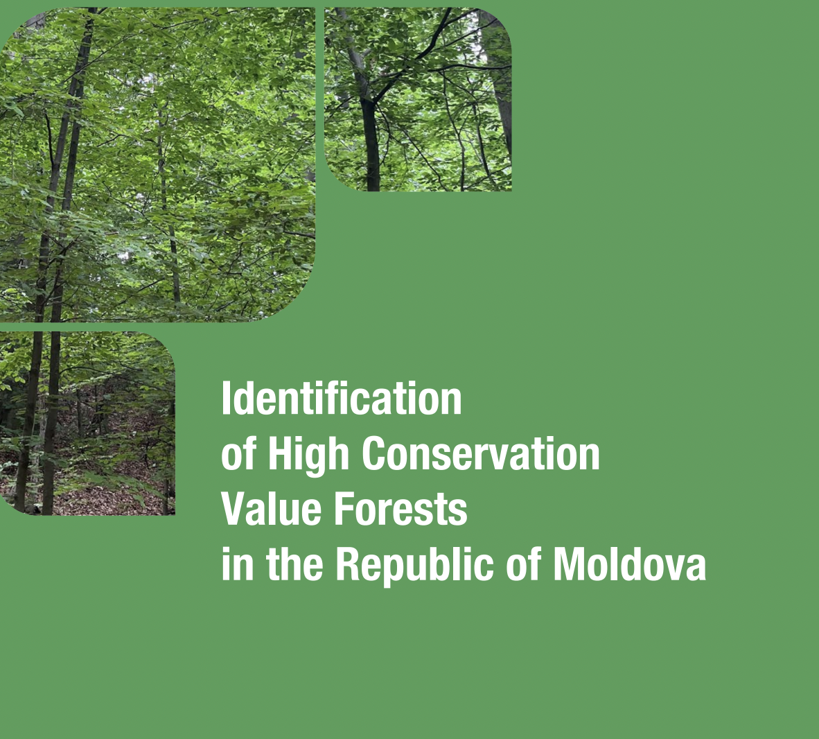 Preserving and expanding forests will raiseMoldova’s resilience