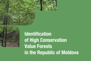 Preserving and expanding forests will raiseMoldova’s resilience