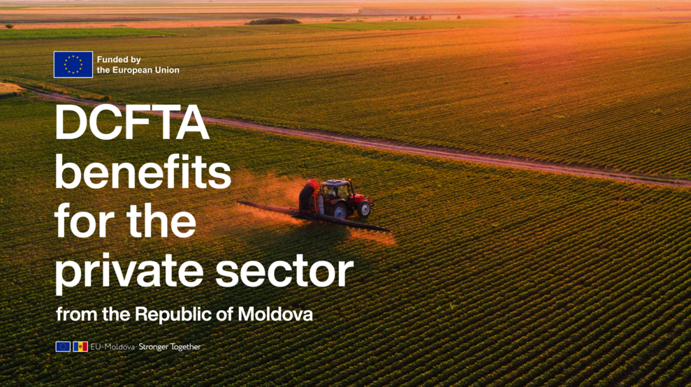 Brochure DCFTA benefits for the private sector