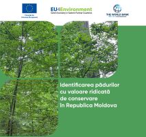 Conservarea și extinderea pădurilor va spori reziliența Moldovei,