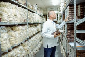 The amount of electricity compensation granted to Moldovan entrepreneurs by the European Union through the Organization for Entrepreneurship Development (ODA) has exceeded 87 million lei between January and August 2025.
