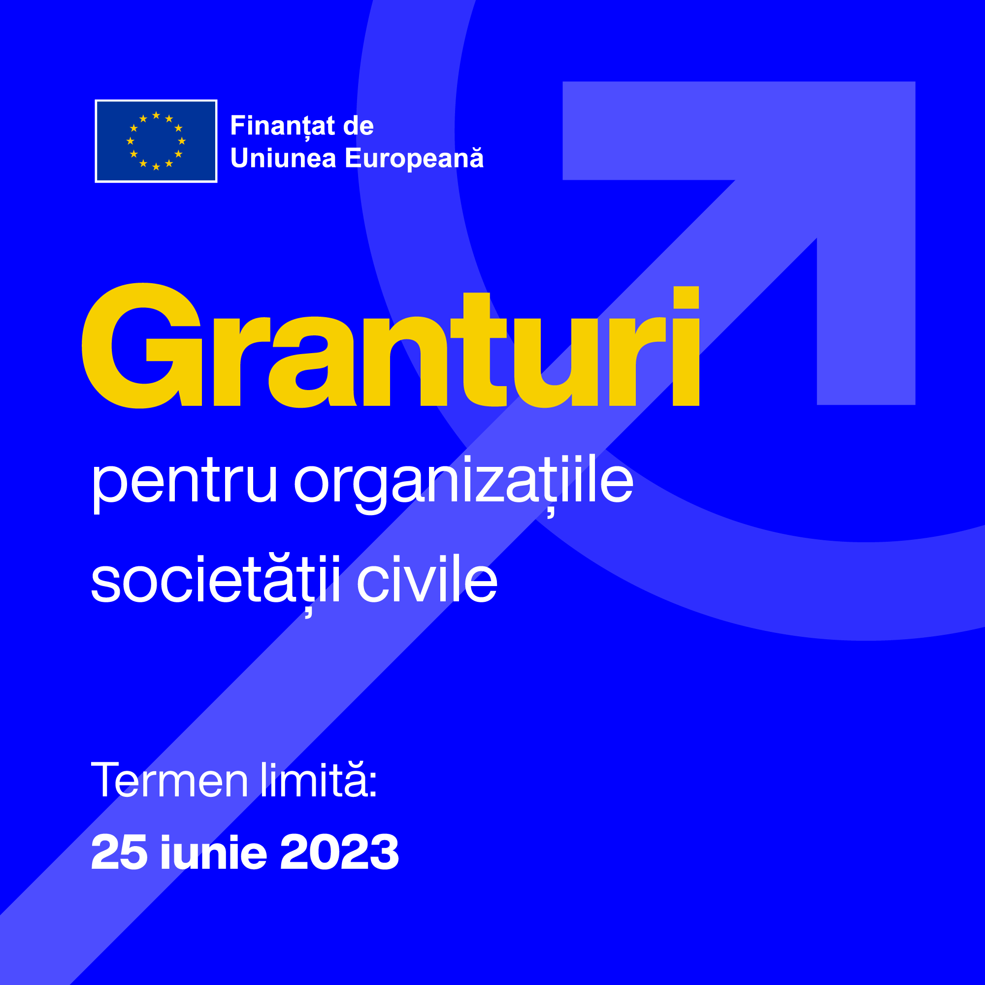 Granturi pentru organizațiile societății civile