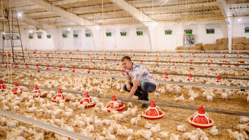 Iurie Flerciuc, a poultry farmer from the left bank of the Nistru River, had a dream: to double the number of chickens he raised. To make it happen, he needed additional financial resources, which were not available at the time.
