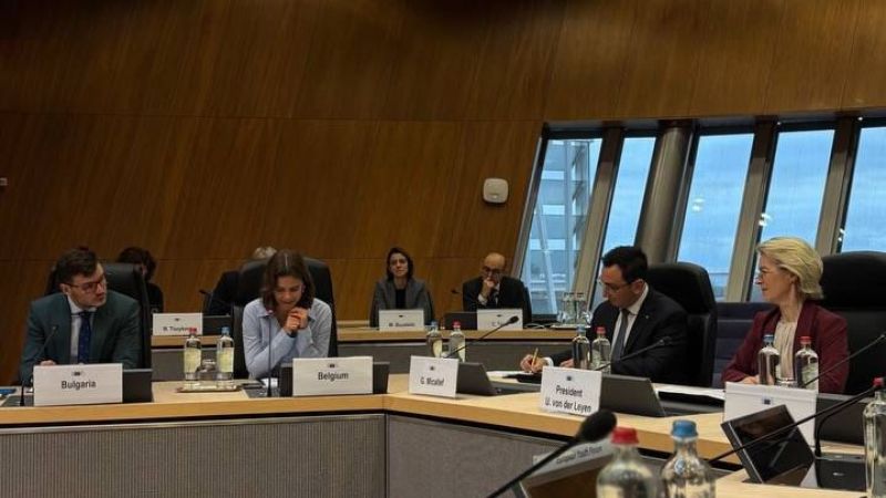 Pe 3 decembrie, la Bruxelles, a avut loc prima întrunire al Consiliul Consultativ al Tinerilor cu Președinta Comisiei Europene.