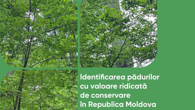 Conservarea și extinderea pădurilor va spori reziliența Moldovei,