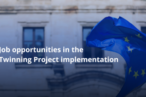 A Language Assistant is sought for an EU Twinning Project entitled “Strengthen the capacities of the General Inspectorate for Migration for the implementation of the migration management and asylum legislation in line with EU acquis”.