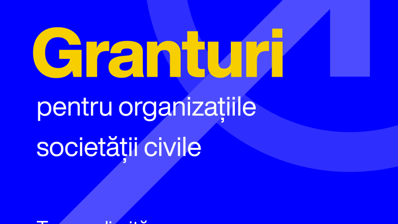 Granturi pentru organizațiile societății civile