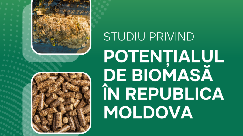 Studiul privind potențialul de biomasă în Republica Moldova