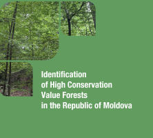 Preserving and expanding forests will raiseMoldova’s resilience
