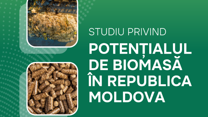 Studiul privind potențialul de biomasă în Republica Moldova